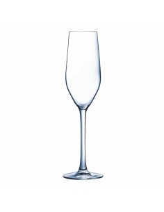 Copa de champán Chef & Sommelier Transparente Vidrio (19 cl) | Tienda24 Tienda24.eu