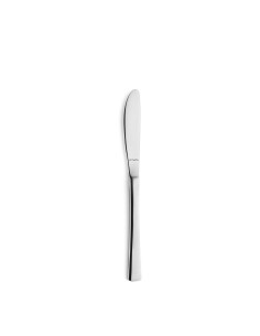 Set of Dessert Knives Amefa Havane Jungle Metal Stainless steel 12 Units | Tienda24 Tienda24.eu