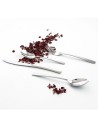 Dessert spoon Amefa Havane Metal Stainless steel 12 Units | Tienda24 Tienda24.eu