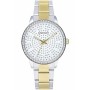 Reloj Mujer Radiant RA578203 (Ø 38 mm) de Radiant, Relojes de pulsera - Ref: S0380284, Precio: 35,15 €, Descuento: %