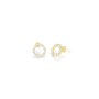 Pendientes Mujer Radiant RY000025 Acero Inoxidable 1,5 cm de Radiant, Pendientes - Ref: S0381839, Precio: 21,91 €, Descuento: %