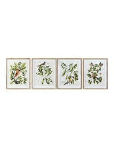 Quadro DKD Home Decor Bird 55 x 2,5 x 70 cm Tropicale Uccelli (4 Pezzi) da DKD Home Decor, Stampe e quadri su tela - Ref: S30...