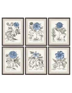 Quadro DKD Home Decor Fiori Moderno 50 x 2 x 65 cm (6 Pezzi) da DKD Home Decor, Stampe e quadri su tela - Ref: S3018209, Prec...