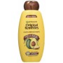 Anti-Frizz Shampoo Garnier Original Remedies Avocado Karité 600 ml von Garnier, Shampoos - Ref: S05101822, Preis: 10,89 €, Ra...