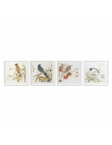 Painting DKD Home Decor 60 x 2,5 x 60 cm Bird Shabby Chic (4 Pieces) | Tienda24 Tienda24.eu