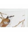 Painting DKD Home Decor 60 x 2,5 x 60 cm Bird Shabby Chic (4 Pieces) | Tienda24 Tienda24.eu