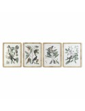 Pintura DKD Home Decor 50 x 2,5 x 65 cm Shabby Chic Plantas botânicas (4 Peças) | Tienda24 Tienda24.eu