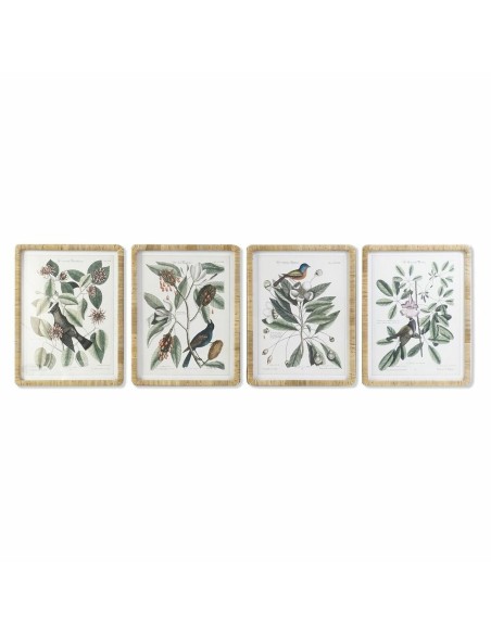 Pintura DKD Home Decor 50 x 2,5 x 65 cm Shabby Chic Plantas botânicas (4 Peças) | Tienda24 Tienda24.eu