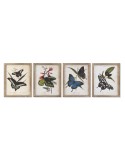 Cuadro DKD Home Decor Mariposas 40 x 2 x 50 cm Shabby Chic (4 Piezas) | Tienda24 Tienda24.eu