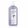 Tönungsshampoo für blondes Haar Clearé Institute 400 ml | Tienda24 - Global Online Shop Tienda24.eu