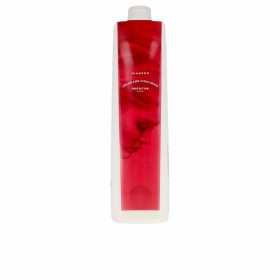 Shampoo Rinforzante del Colore Fructis Shikiso Keratin Ginseng 1 L di Fructis, Shampoo - Rif: S05106750, Prezzo: 38,02 €, Sco...