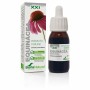 Echinacea Soria Natural 50 ml di Soria Natural, Echinacea - Rif: S05108437, Prezzo: 9,69 €, Sconto: %