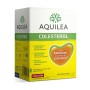 Supplément Alimentaire Aquilea Colesterol 60 Unités de Aquilea, Artichaut - Réf : S05108498, Prix : 22,33 €, Remise : %