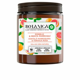 Vela Perfumada Air Wick Botanica Menta Toranja 205 g de Air Wick, Velas - Ref: S05109309, Preço: 6,88 €, Desconto: %