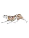 Decorative Figure DKD Home Decor White Multicolour Orange White/Orange Leopard Colonial 30 x 40 cm 37 x 10 x 13 cm | Tienda24 Tienda24.eu