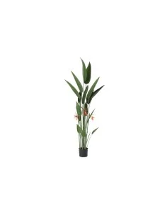 Plante décorative DKD Home Decor Pompons (45 x 45 x 150 cm) | Tienda24 Tienda24.eu