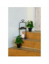 Plante décorative DKD Home Decor PVC polypropylène 20 x 20 x 30 cm | Tienda24 Tienda24.eu