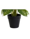 Plante décorative DKD Home Decor PVC polypropylène 20 x 20 x 30 cm | Tienda24 Tienda24.eu