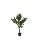 Planta Decorativa DKD Home Decor Rosa Verde PE (60 x 60 x 125 cm) | Tienda24 Tienda24.eu