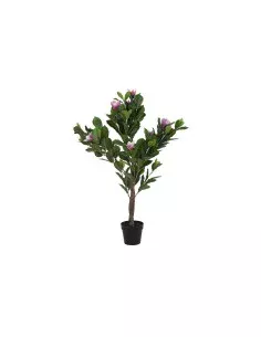 Planta Decorativa Atmosphera 7 x 14 cm Verde PVC | Tienda24 Tienda24.eu