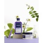 Máscara Capilar Phyto Paris Violet 200 ml | Tienda24 - Global Online Shop Tienda24.eu