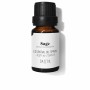 Óleo Essencial Daffoil Sálvia 10 ml de Daffoil, Óleos essenciais - Ref: S05117304, Preço: 12,33 €, Desconto: %