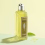 Gel de Ducha L'Occitane En Provence Limpiador Verbena 250 ml de L'Occitane En Provence, Geles de ducha - Ref: S05118906, Prec...