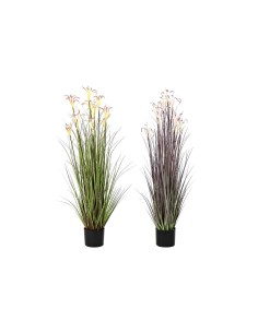 Plante décorative Fleurs Volets Ballon Plastique 17 x 17 x 17 cm (12 Unités) | Tienda24 Tienda24.eu