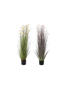 Plante décorative DKD Home Decor PVC polypropylène 20 x 20 x 30 cm | Tienda24 Tienda24.eu