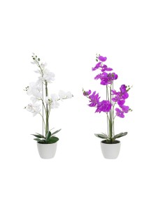 Viruta Decorativa 1,4 L Lila (6 Unidades) | Tienda24 Tienda24.eu