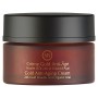 Crema Antietà Innor 24k Gold Power Innossence Innor (50 ml) 50 ml di Innossence, Idratanti - Rif: S0565569, Prezzo: 39,88 €, ...