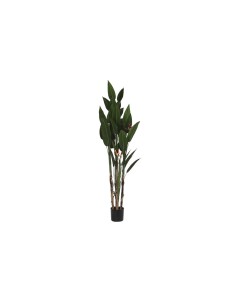 Planta Decorativa Everlands Pampa (Ø 9 x 90 cm) | Tienda24 Tienda24.eu