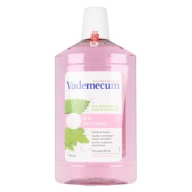 Bain de Bouche Vademecum Enjuague Bucal Sin Alcohol 700 ml de Vademecum, Bains de bouche - Réf : S0574399, Prix : 8,13 €, Rem...