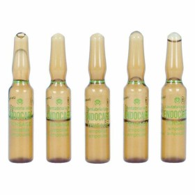 Ampolas Endoncare Tensage Regenerativo (10 x 2 ml) de Endocare, Tónicos e adstringentes faciais - Ref: S0576637, Preço: 35,26...