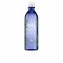 Micellares Wasser Bouquet Floral Detox Melvita (200 ml) | Tienda24 - Global Online Shop Tienda24.eu