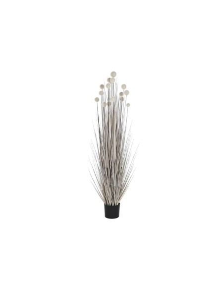 Plante décorative DKD Home Decor Pompons (45 x 45 x 150 cm) | Tienda24 Tienda24.eu