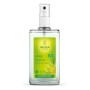 Desodorante Weleda 6355 100 ml de Weleda, Desodorantes - Ref: S0582453, Precio: 15,78 €, Descuento: %