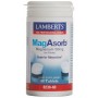 Supplément Alimentaire Lamberts MagAbsorb Magnésium 60 Unités de Lamberts, Magnésium - Réf : S0583132, Prix : 15,40 €, Remise...