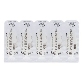 Ovuli Cumlaude Lab Prebiotic (3 g) (10 pcs) | Tienda24 - Global Online Shop Tienda24.eu