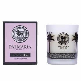 Palmaria | Tienda24 - Global Online Shop