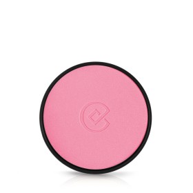 Blush Shiseido 57348 Nº 01 | Tienda24 - Global Online Shop Tienda24.eu