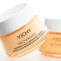 Crema de Día Vichy Neovadiol Piel Mixta Piel normal Menopausia (50 ml) de Vichy, Hidratantes - Ref: S0593095, Precio: 37,80 €...