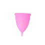 Menstrual Cup Inca Farma Large Glass with Lid (2 pcs) by Inca, Pantyliners - Ref: S0594923, Price: 11,40 €, Discount: %