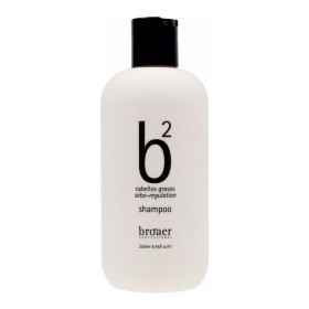 Shampoo Broaer B2 Greasy Hair (250 ml) by Broaer, Shampoos - Ref: S0596002, Price: 9,04 €, Discount: %