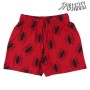 Pijama Infantil Spider-Man Cinzento de Spider-Man, Pijamas de duas peças - Ref: S0725653, Preço: 15,22 €, Desconto: %