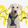 Arnés para Perro Batman XXS/XS Azul de Batman, Arneses - Ref: S0725821, Precio: 13,16 €, Descuento: %