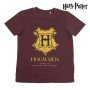 Set of clothes Harry Potter Red by Harry Potter, Trouser & Top Sets - Ref: S0726707, Price: 12,89 €, Discount: %