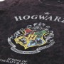 Herren Kurzarm-T-Shirt Harry Potter Grau Dunkelgrau von Harry Potter, T-Shirts - Ref: S0728711, Preis: 10,47 €, Rabatt: %