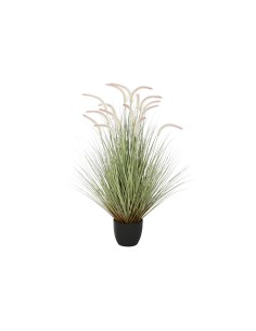 Planta Decorativa Bola Musgo 20 x 20 x 20 cm | Tienda24 Tienda24.eu