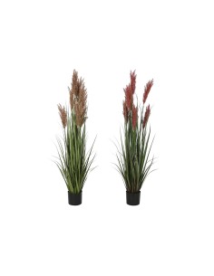 Decorative Plant Versa Plastic | Tienda24 Tienda24.eu